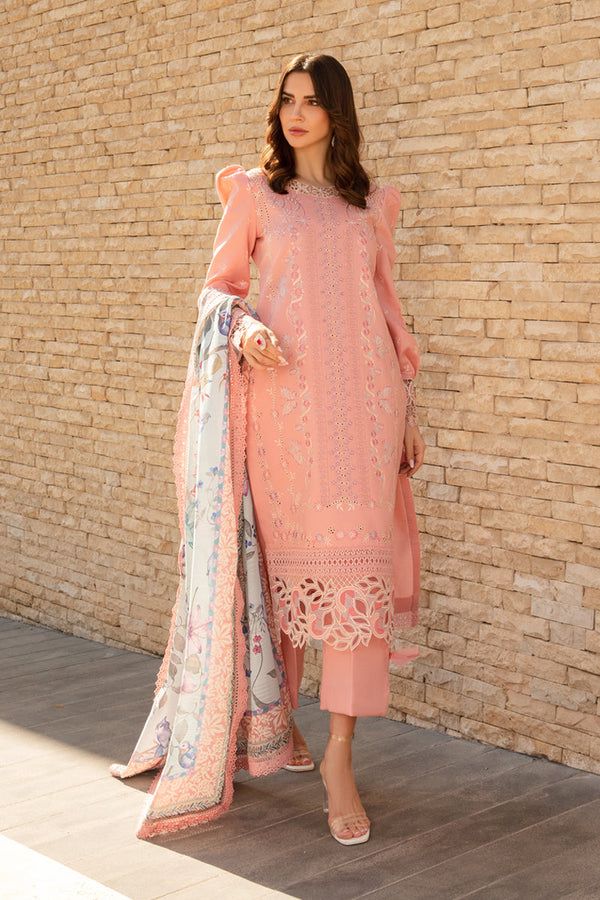 Ayesha Collection