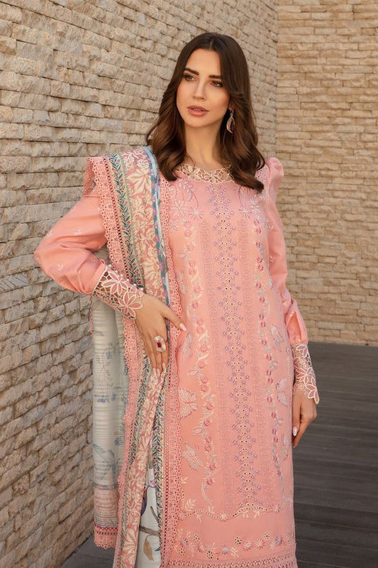 Ayesha Collection
